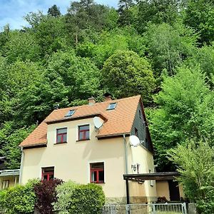 Ferienhaus Jahrhundertreisen Villa Bad Schandau Exterior photo