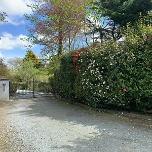 Tree Tops Haverfordwest Exterior photo