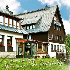 Ferienhotel Muhlleithen Klingenthal Exterior photo