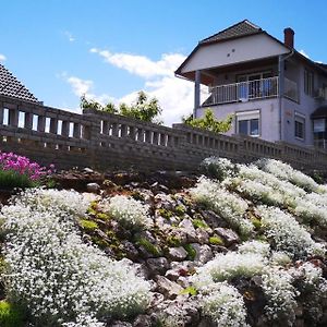 Szabó Vendégház Hotel Villány Exterior photo