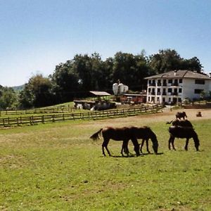 Favetto Family Ranch Panzió Rueglio Exterior photo