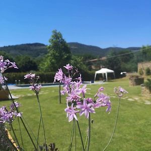 Alba Morus Bed E Breakfast Sentiti A Casa Nel Cuore Della Toscana Panzió Arezzo Exterior photo