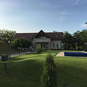 Bor-Vendégház Hotel Kiskoros Exterior photo