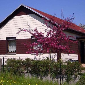 Holiday Home In Waltershausen Ot Fischbach 3171 Exterior photo