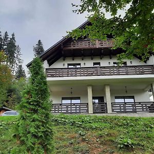 Casa Malina Putna Villa Szucsáva Exterior photo