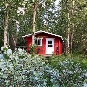 Bakkakot 3 Cozy Cabin In The Woods Apartman Akureyri Exterior photo