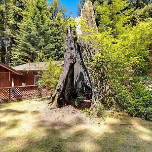 Surfwood Getaway Villa Mendocino Exterior photo