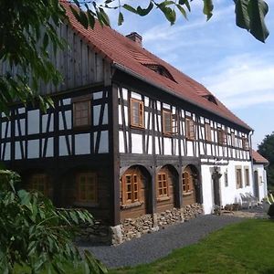 Izerski Dom Villa Leśna Exterior photo