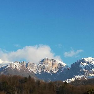 Villa Perale: La Tua Casa Alle Pendici Delle Dolomiti Belluno Exterior photo