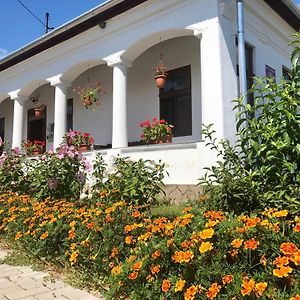 Heni Vendégháza Hotel Vadna Exterior photo