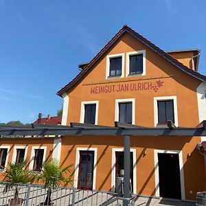 Weingut Jan Ulrich Hotel Diesbar-Seusslitz Exterior photo