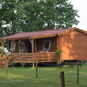 Tiny House Het Reebokje Apartman Vriescheloo Exterior photo