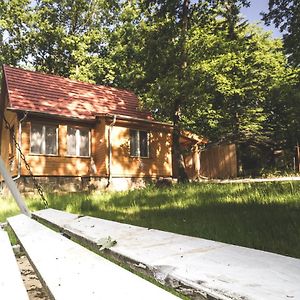 Rozetta Vendégház Apartman Verőcemaros Exterior photo