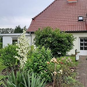 Ferienwohnung Im Zanderhaus Dolgen am See Exterior photo