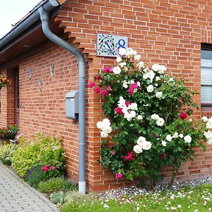 Cozy Apartment In Rovershagen With Garden Exterior photo