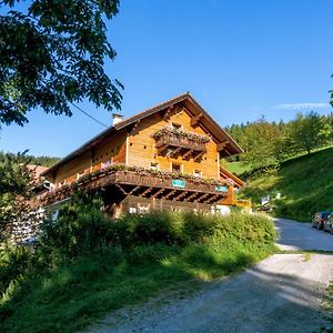 Almbauer Morgenbesser Apartman Trattenbach  Exterior photo