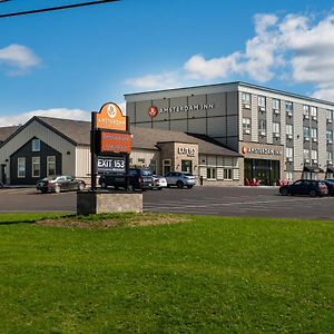 Amsterdam Inn & Suites Florenceville Exterior photo