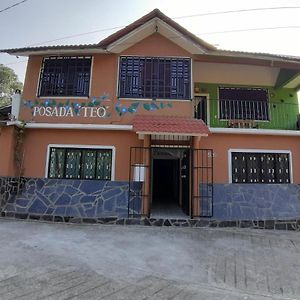 Posada Teo Aparthotel Xilitla Exterior photo