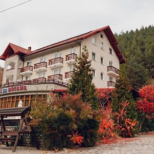 Vila Briana Hotel Păltiniş Exterior photo