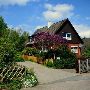 Haus Nordlys Apartman Glücksburg Exterior photo