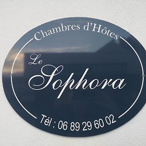 Le Sophora Hotel Guînes Exterior photo