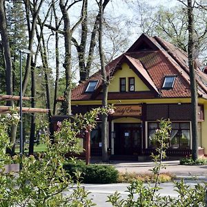 Villa Hotel Debrecen Exterior photo