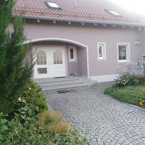 Ferienwohnung Lang Nittenau Exterior photo