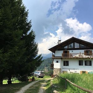 Casa Bernard Zortea Vanoi Cuore Verde Del Trentino Canal San Bovo Exterior photo