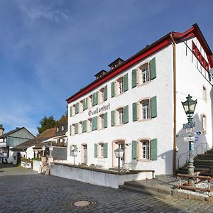 Quellenhof - Wohnen Im Denkmal - Wohnung "Quelle" Blankenheim  Exterior photo