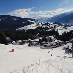 Panorama Chalet Villa Mittersill Exterior photo