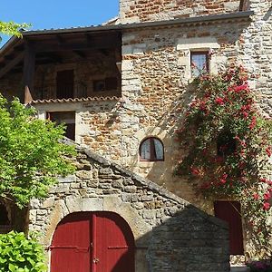 Les Chambres D'Hotes Le Mas Des Lucioles Vinezac Exterior photo