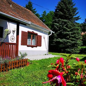 Őrség Kincse Nagy Apartman - 6 főre Hotel Hegyhátszentjakab Exterior photo