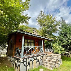 Delightful Bungalow Surrounded By Nature In Karamursel, Kocaeli Hotel Exterior photo