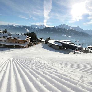 Elegant Chalet With Sauna In Mittersill Salzburg Apartman Hollersbach im Pinzgau Exterior photo