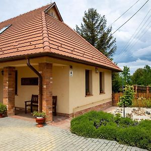 Mézes Vendégház és Apiterápiás központ Hotel Vizsoly Exterior photo