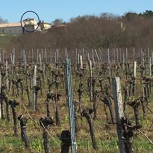 Superbe Gite A La Campagne Dans Le Bordelais Apartman Saint-Vivien-de-Blaye Exterior photo