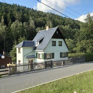 Ferienhaus Rosemarie Erlbach Vogtland Villa Exterior photo