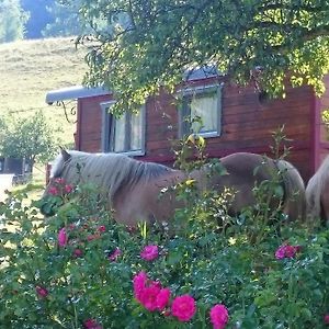 Ferme Traitsanes Villa Mitzach Exterior photo