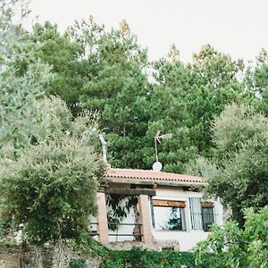 Casa Rural El Zumacal Vendégház Monesterio Exterior photo