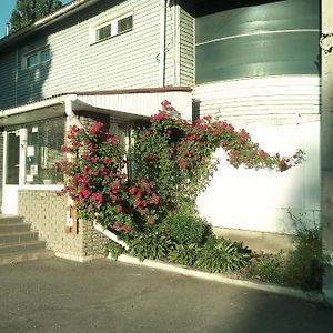 Motel Pid Strihoyu Kremencsuk Exterior photo