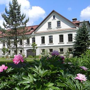 Lidmiluv Mlyn Hotel Sádek Exterior photo