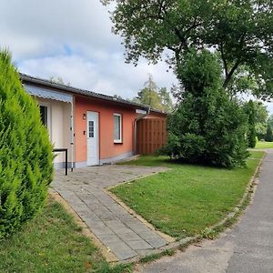 Terraced House In The Nature And Holiday Park At The Gross Labenzer See Klein Labenz Exterior photo