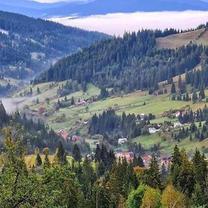 Pensiunea Casa Fierarul Din Bucovina Vatra Moldoviței Exterior photo