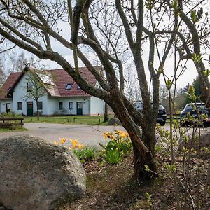 Spreewalder Feriendomizil/Pension Burg  Exterior photo