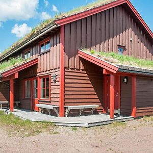 Cozy Home In Trysil With Ethernet Internet Mælem Exterior photo