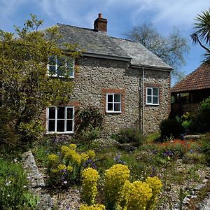 Trill Cottage Musbury Exterior photo