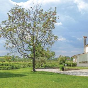 Casa Di Mamy Villa Sant'Elena di Silea Exterior photo