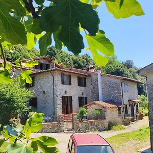 Cara House Tuscany Chiatri Exterior photo