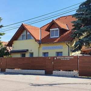 Nefelejcs Vendégház Hotel Gödöllő Exterior photo