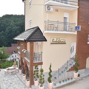 Vila Lux Nedeljkovic Gornja Trepca Apartman Čačak Exterior photo